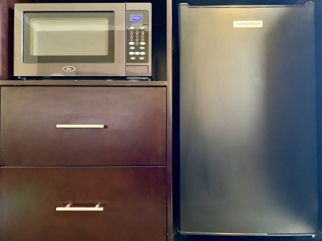 Microwave and Refrigerator